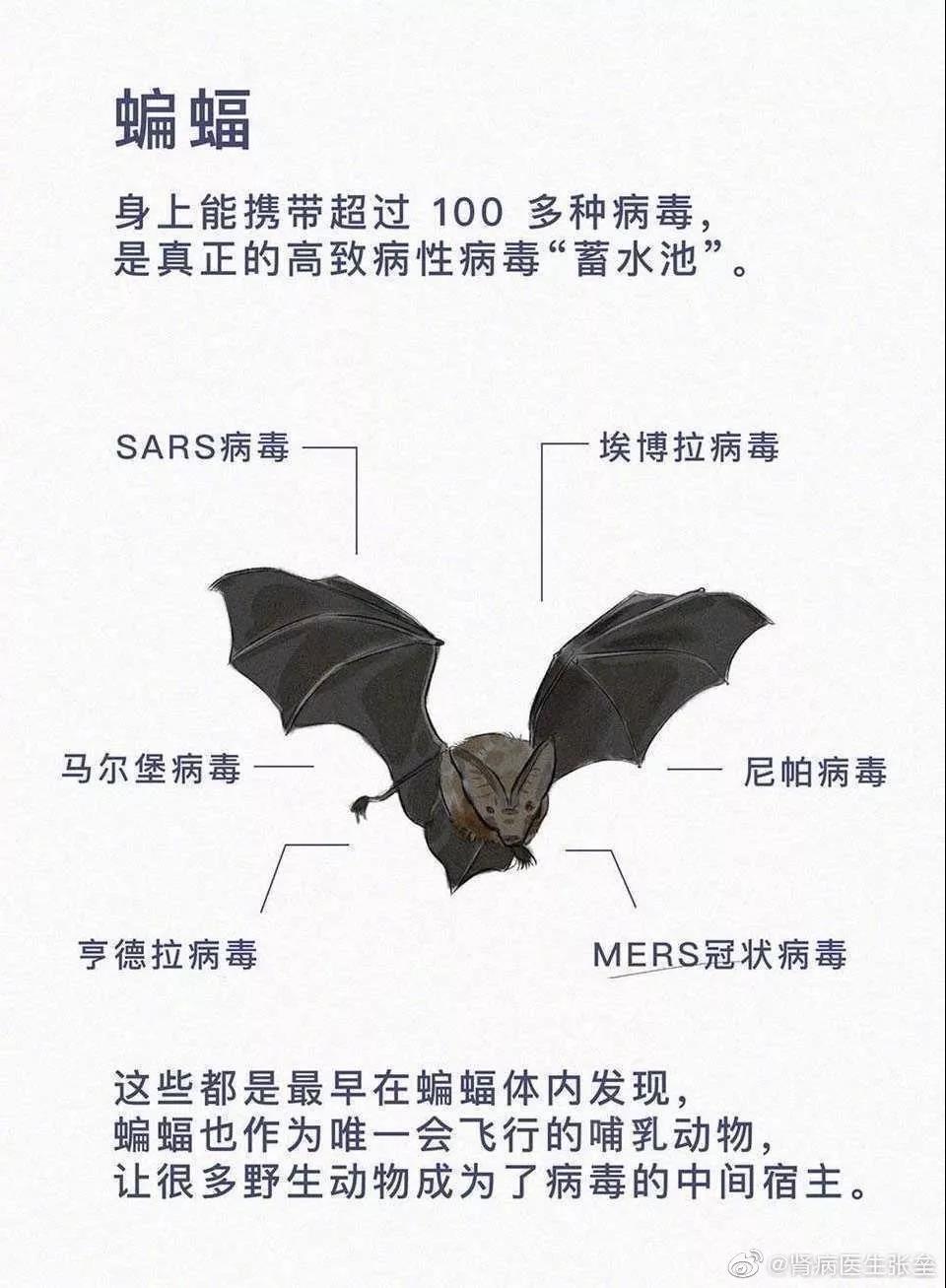 這10道與疫情有關(guān)的作業(yè)題，你的孩子會(huì)如何作答？